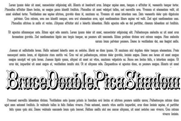 Bruce Double Pica: The Display Font That Anchors Your Campaign